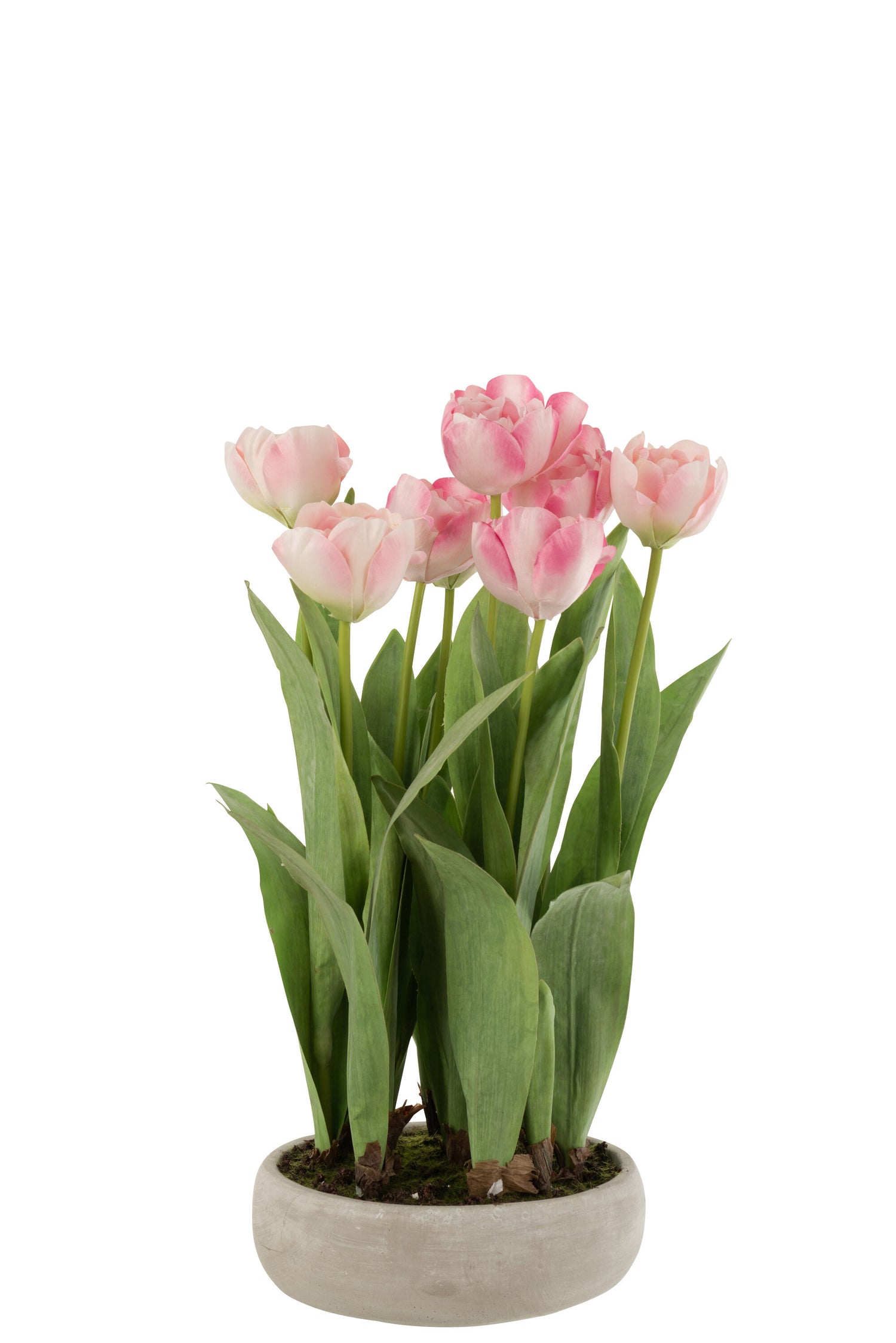 J-line - Tulpen In Pot Cement Grijs Plastiek Roze|groen - 34x31x49cm