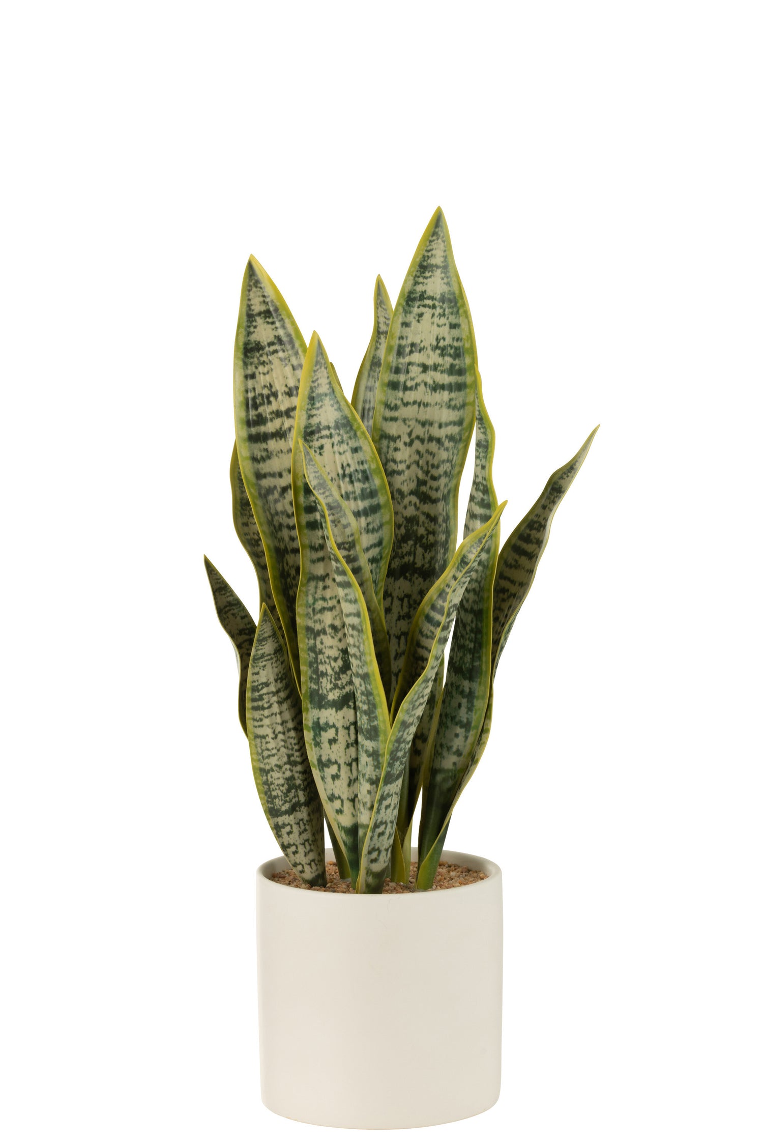 J-line - Plant Sansevieria In Pot Pvc Groen Large - 14x14x49cm