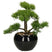 Atmosphera bonsai boompje in pot - 36 cm - pvc - kunstplant