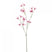 Fleurdirect Kunstbloem Tweedia - Roze - Polyester - 0x69x0cm (BxHxD)