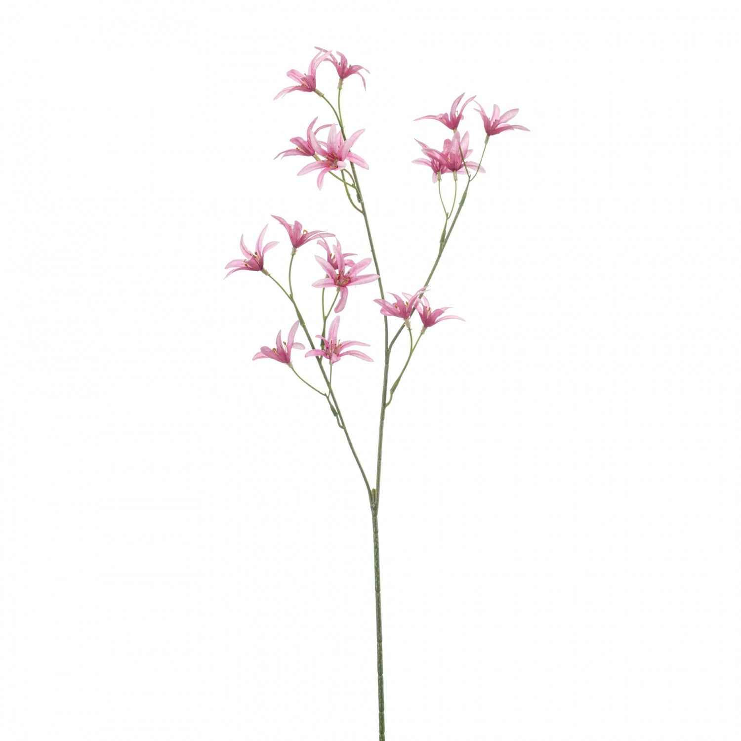 Fleurdirect Kunstbloem Tweedia - Roze - Polyester - 0x69x0cm (BxHxD)