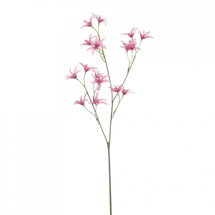 Fleurdirect Kunstbloem Tweedia - Roze - Polyester - 0x69x0cm (BxHxD)