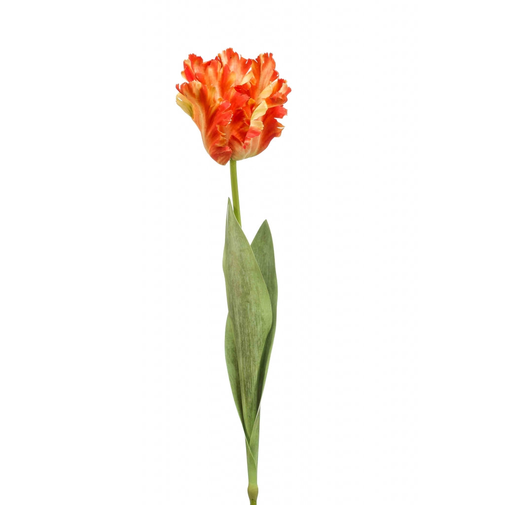 Fleurdirect Kunstbloem Tulp  - Polyester - 0x68x0cm (BxHxD)