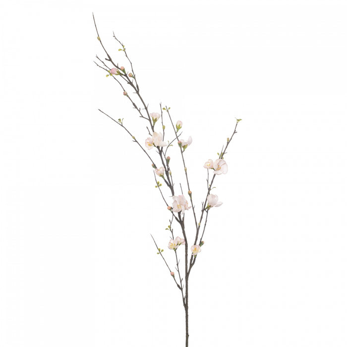 81142432-818b-45e6-8413-742784293ebf-vrijstaandbeeld.jpg (10362716) 