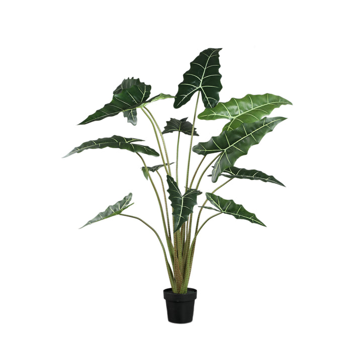 PTMD Leaves Plant Green Alocasia Plant In Pot L