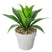Atmosphera Kunstplant - Aloe Vera - in pot van cement - 34 cm