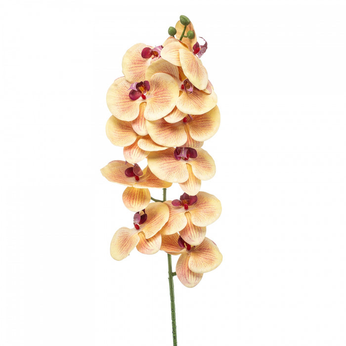 5c4bccee-e6fb-4dec-82bf-b9d6be1d8366-vrijstaandbeeld.jpg (10362946) 