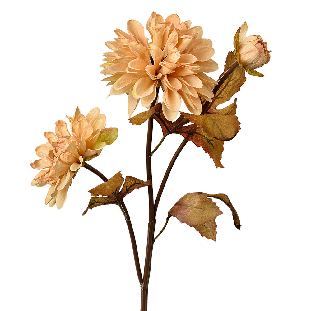 55276173-85cb-4426-b419-d46348d08fd2-vrijstaandbeeld.jpg (10363033) 