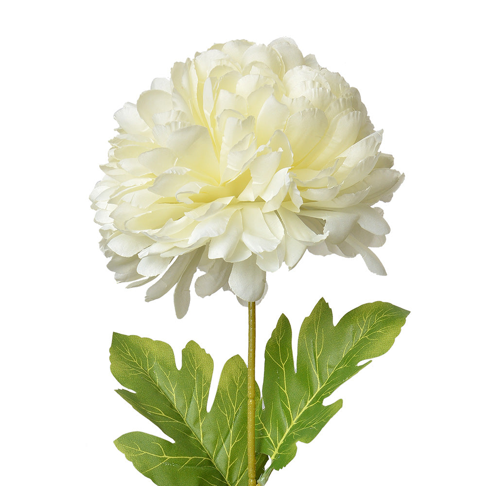 2384972b-2cac-4feb-80e9-576d859a9253-vrijstaandbeeld.jpg (10363060) 