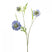 Fleurdirect Kunstbloem Scabiosa - Blauw - Polyester - 0x62x0cm (BxHxD)
