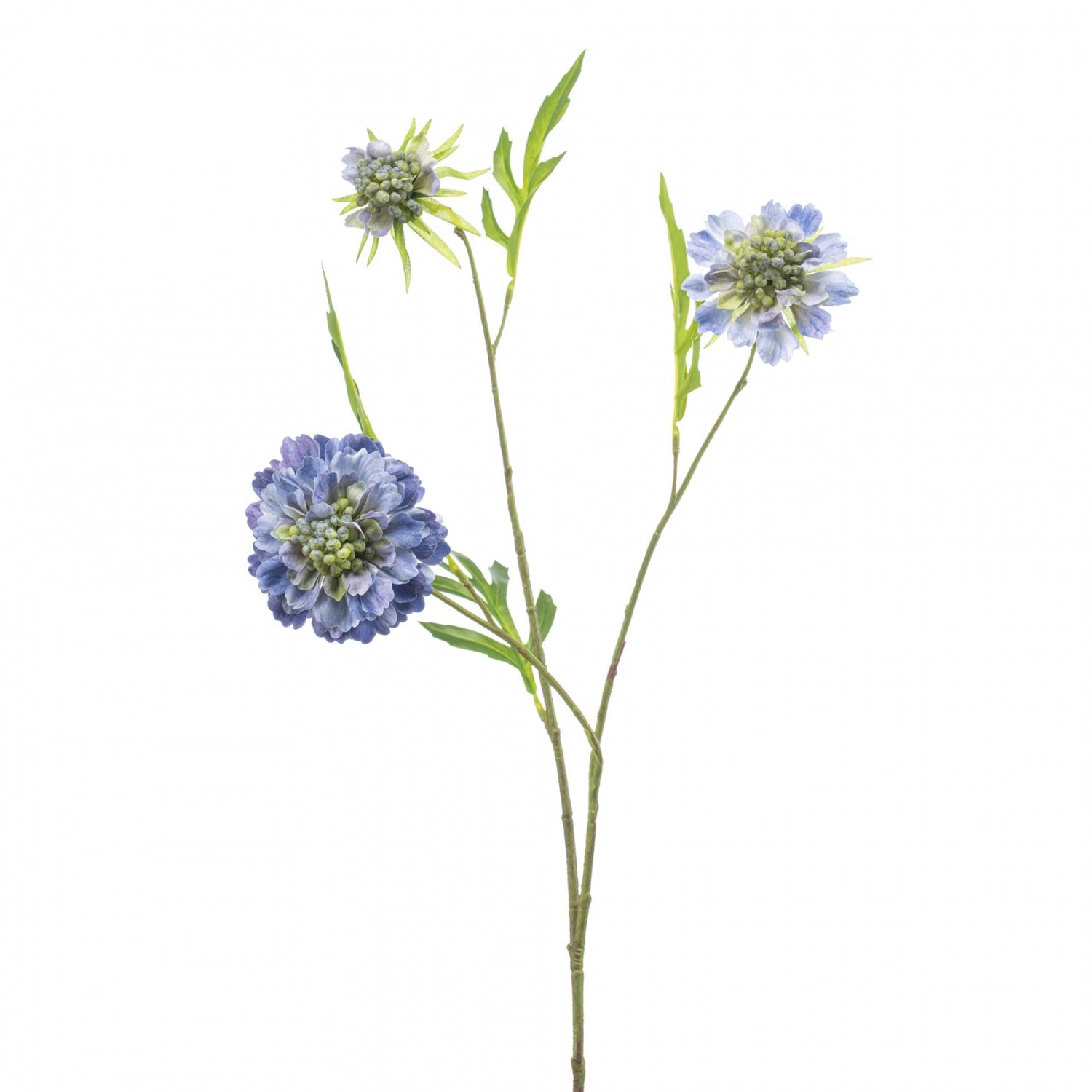 Fleurdirect Kunstbloem Scabiosa - Blauw - Polyester - 0x62x0cm (BxHxD)