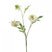 Fleurdirect Kunstbloem Scabiosa - Wit - Polyester - 0x62x0cm (BxHxD)