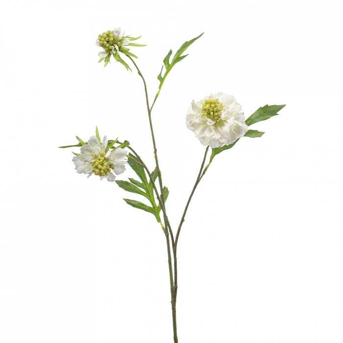 Fleurdirect Kunstbloem Scabiosa - Wit - Polyester - 0x62x0cm (BxHxD)