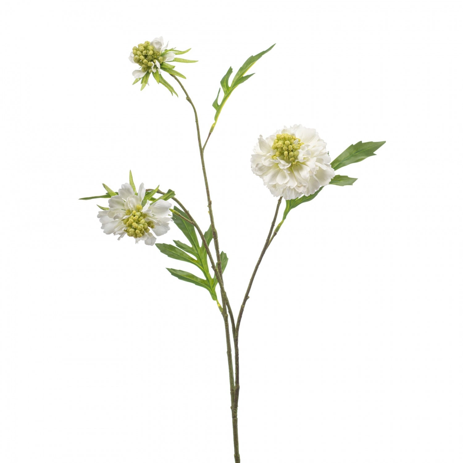 Fleurdirect Kunstbloem Scabiosa - Wit - Polyester - 0x62x0cm (BxHxD)
