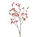 Fleurdirect Kunstbloem Leptospermum -  - Polyester - 0x105x0cm (BxHxD)