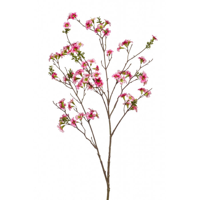 Fleurdirect Kunstbloem Leptospermum -  - Polyester - 0x105x0cm (BxHxD)