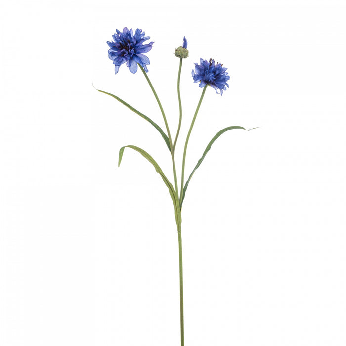 66793875-97e1-4af2-9a00-f2ff7f07aa9b-vrijstaandbeeld.jpg (10363364) 