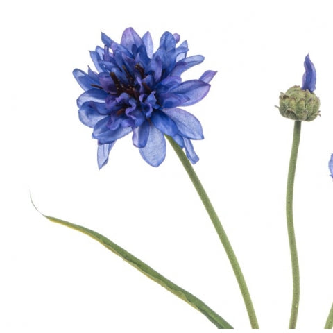 66793875-97e1-4af2-9a00-f2ff7f07aa9b-afbeelding3.jpg (10363369) 