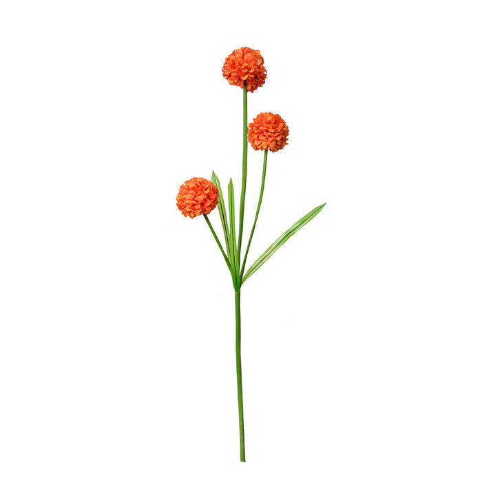 81ebd0fd-4bf5-4932-ab22-d47ea9fc86c5-afbeelding10.jpg (10363504) 