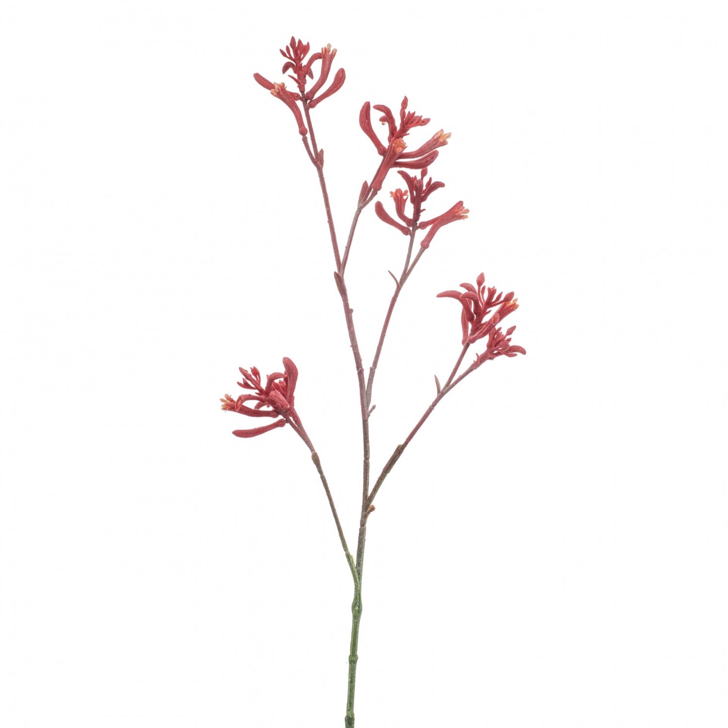 Fleurdirect Kunstbloem Anigozanthos - Roze - Kunststof