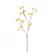 Fleurdirect Kunstbloem Tweedia - Geel - Polyester - 0x69x0cm (BxHxD)