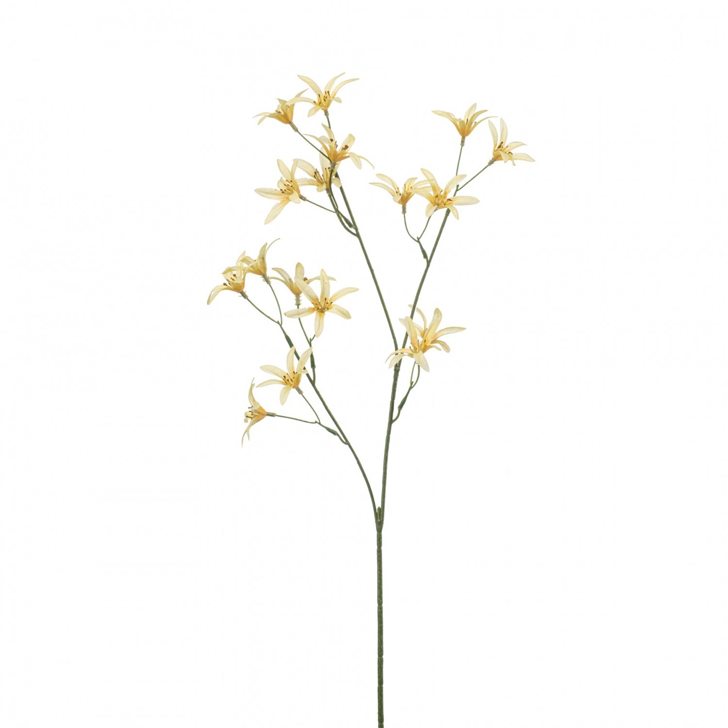 Fleurdirect Kunstbloem Tweedia - Geel - Polyester - 0x69x0cm (BxHxD)