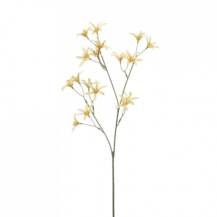 Fleurdirect Kunstbloem Tweedia - Geel - Polyester - 0x69x0cm (BxHxD)