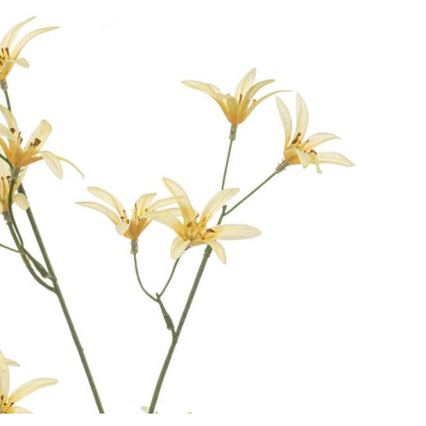 Fleurdirect Kunstbloem Tweedia - Geel - Polyester - 0x69x0cm (BxHxD)