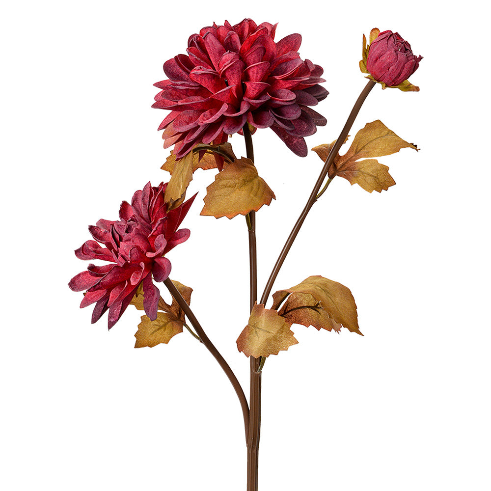 cda408a8-a616-43e3-bc45-46dccaadc0c3-vrijstaandbeeld.jpg (10363608) 