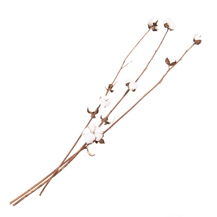 Clayre & Eef Droogbloemen  80 cm  Wit Bruin Droogbloemen Droogboeket