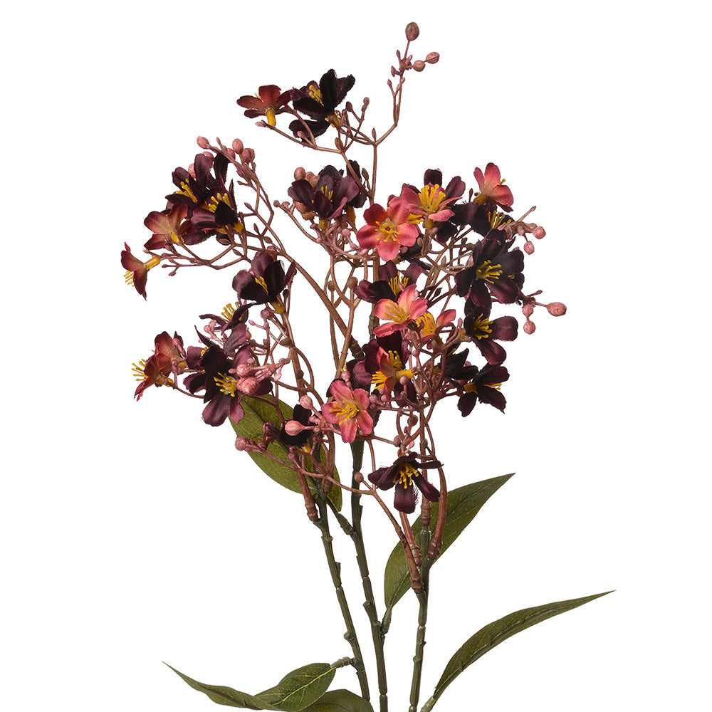 41aad586-b731-4744-a7ef-f660fad71f01-vrijstaandbeeld.jpg (10363726) 