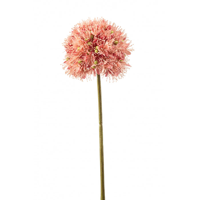Fleurdirect Kunstbloem Allium - Roze - Kunststof - 0x63x0cm (BxHxD)