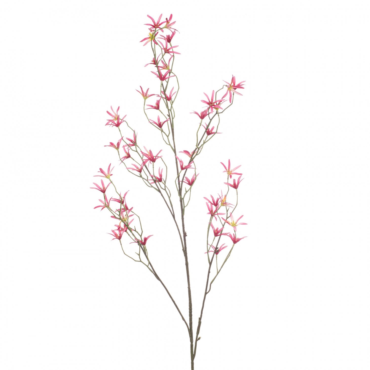 7146f7ee-60a8-4f53-a45f-89b7de88e144-vrijstaandbeeld.jpg (10363783) 