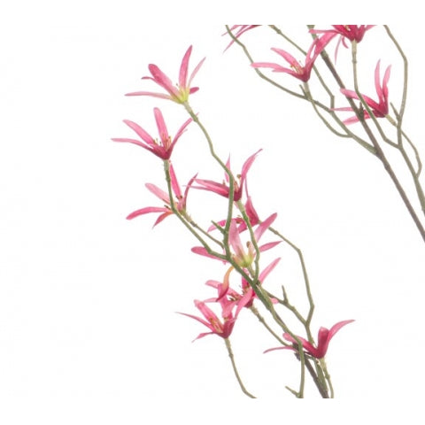 7146f7ee-60a8-4f53-a45f-89b7de88e144-afbeelding3.jpg (10363786) 