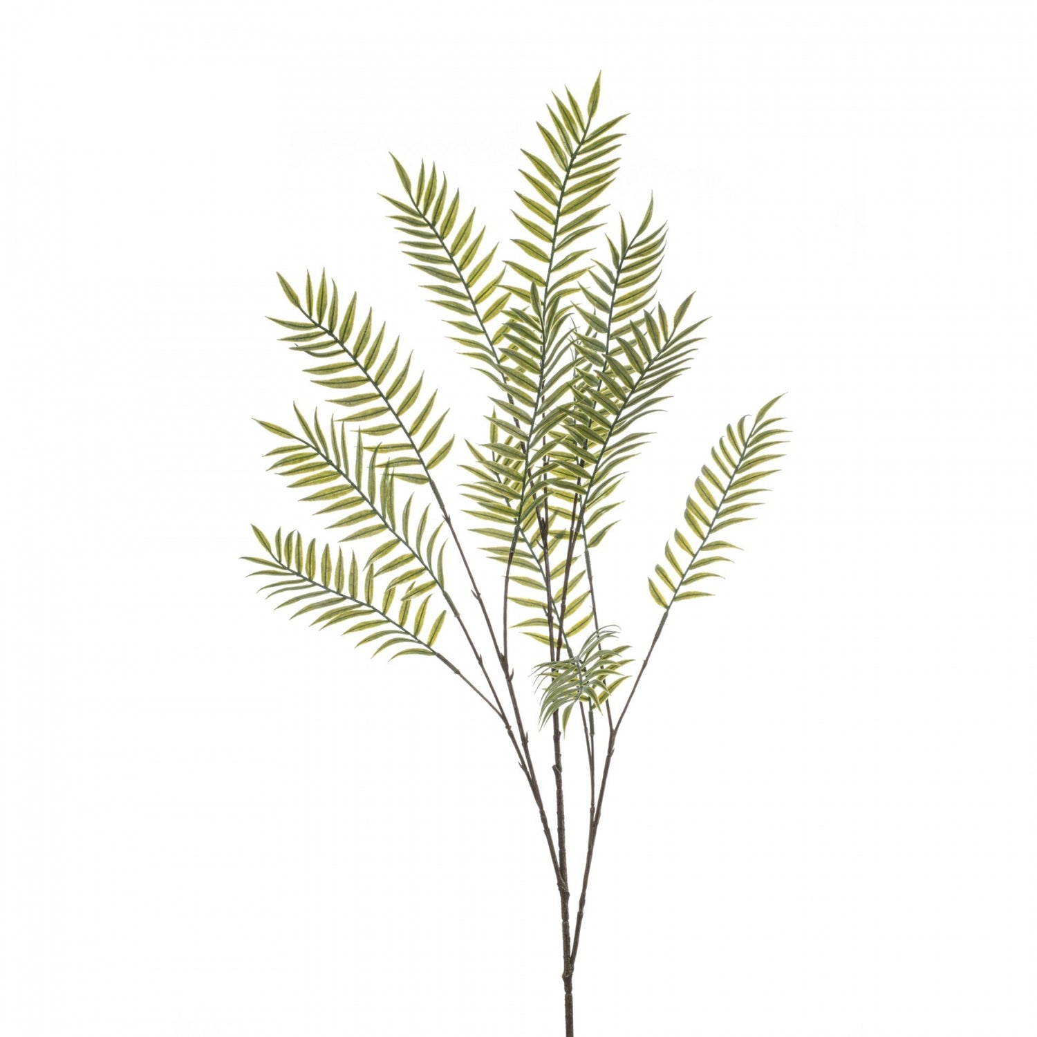 9cf69f2d-cd66-49c1-8cc0-9cc3cc252013-vrijstaandbeeld.jpg (10363810) 