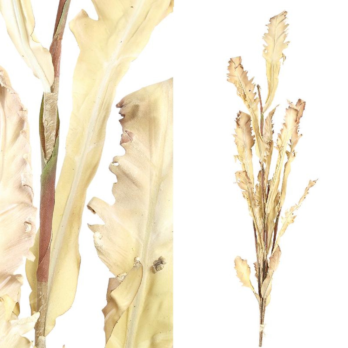 PTMD Droogbloemen Droogbladeren Droogbloem - 92x32x118 cm - Lichtbruin