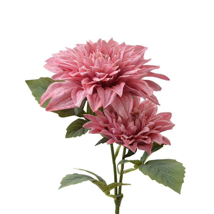 f5f264bf-db78-41af-89e0-7b5c9bf4a07a-vrijstaandbeeld.jpg (10363910) 