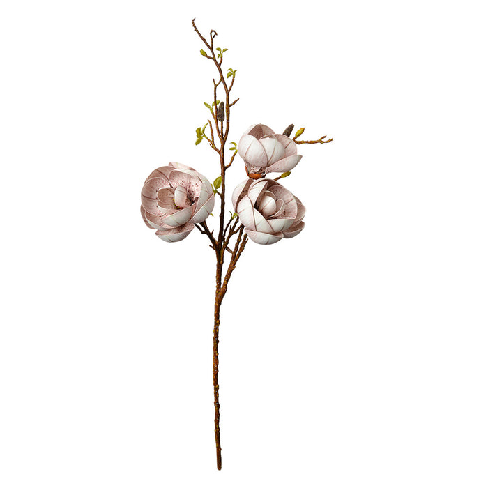 82211d86-54d9-4a7b-97b3-acc7ed0fb1c0-afbeelding10.jpg (10363962) 