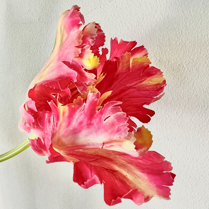 73c35665-91b8-4375-b53a-3300bf8cfbf0-afbeelding6.jpg (10365290) 