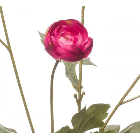 08f1e84c-1f71-4982-90df-cbc7f07444cb-afbeelding3.jpg (10365372) 