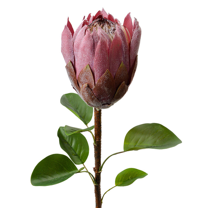 e5e475f9-3393-44c3-af3e-7f80adaa1be6-vrijstaandbeeld.jpg (10365394) 