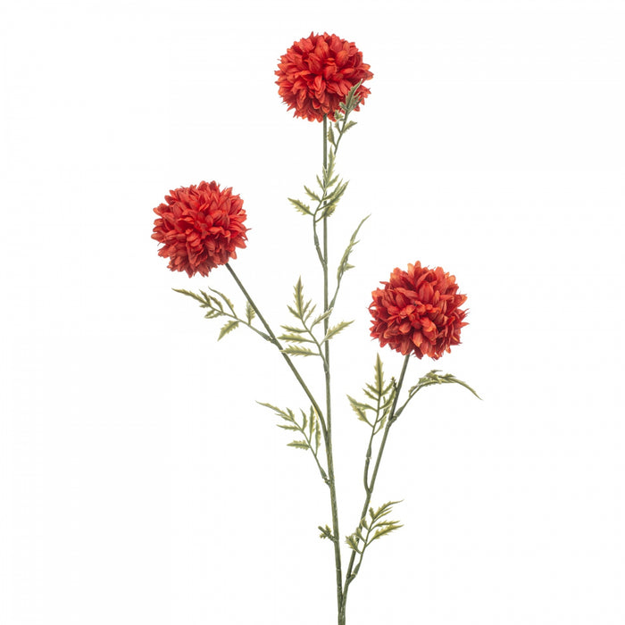 101126b7-2835-4549-8869-b1baeb09009f-vrijstaandbeeld.jpg (10365400) 