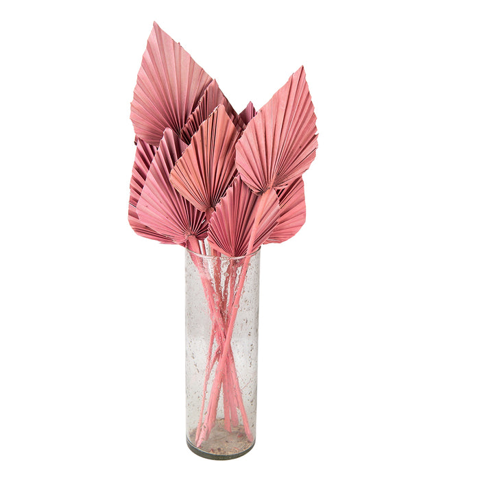 Clayre & Eef Droogbloemen  55 cm Roze Droogbloemen Droogboeket