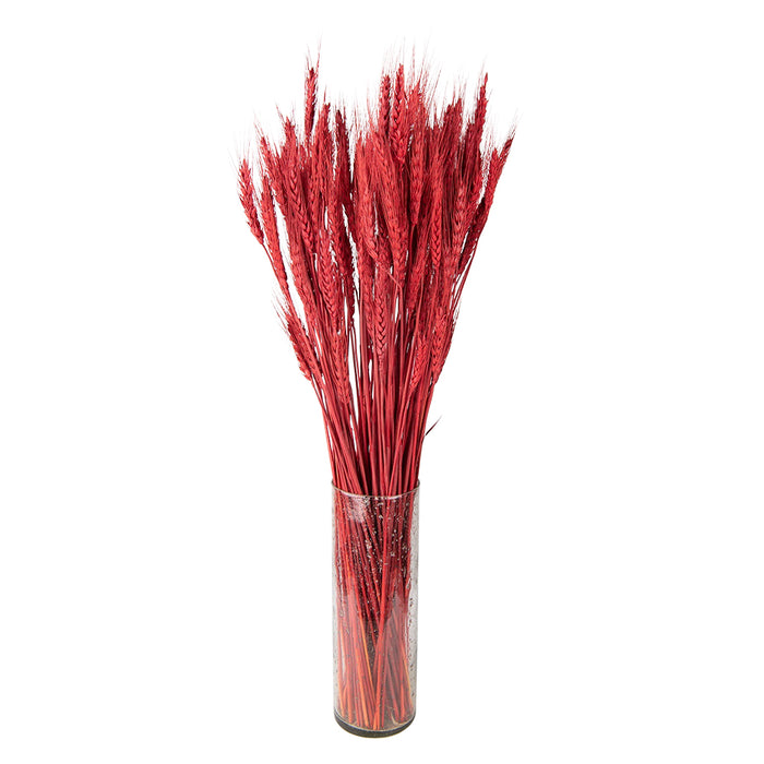 Clayre & Eef Droogbloemen  80 cm Rood Droogbloemen Droogboeket