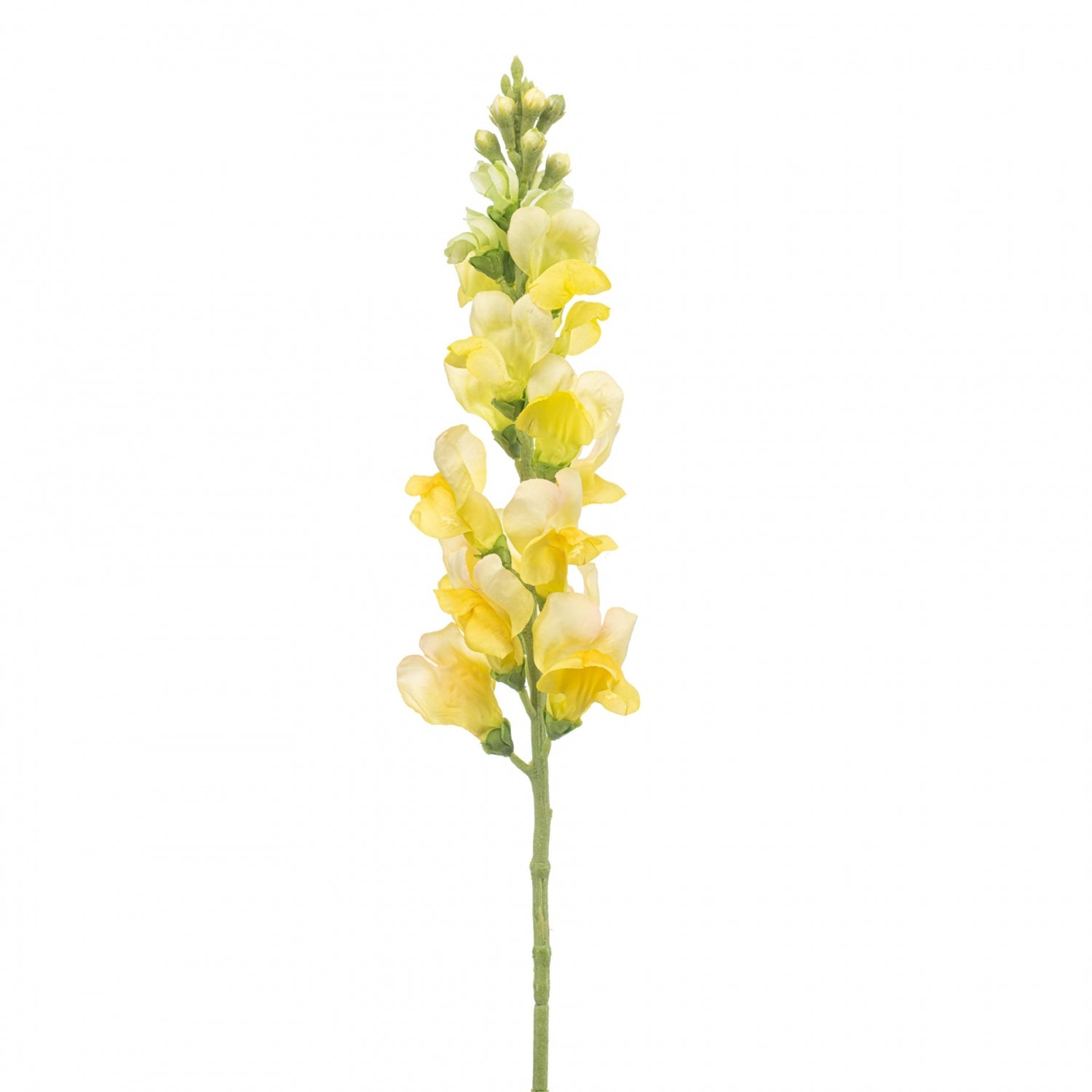 d3f14586-ab54-41c1-87c6-dee981fff6de-vrijstaandbeeld.jpg (10365824) 