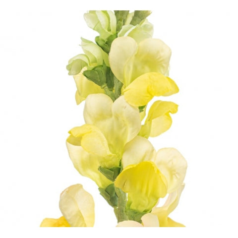 d3f14586-ab54-41c1-87c6-dee981fff6de-afbeelding3.jpg (10365827) 