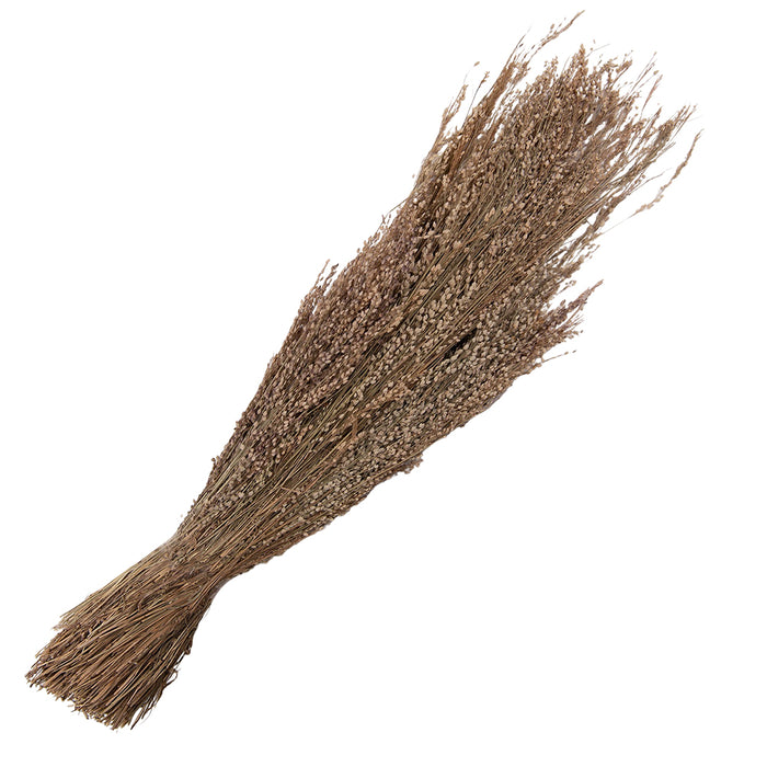 Clayre & Eef Droogbloemen  55 cm Beige Droogbloemen Droogboeket