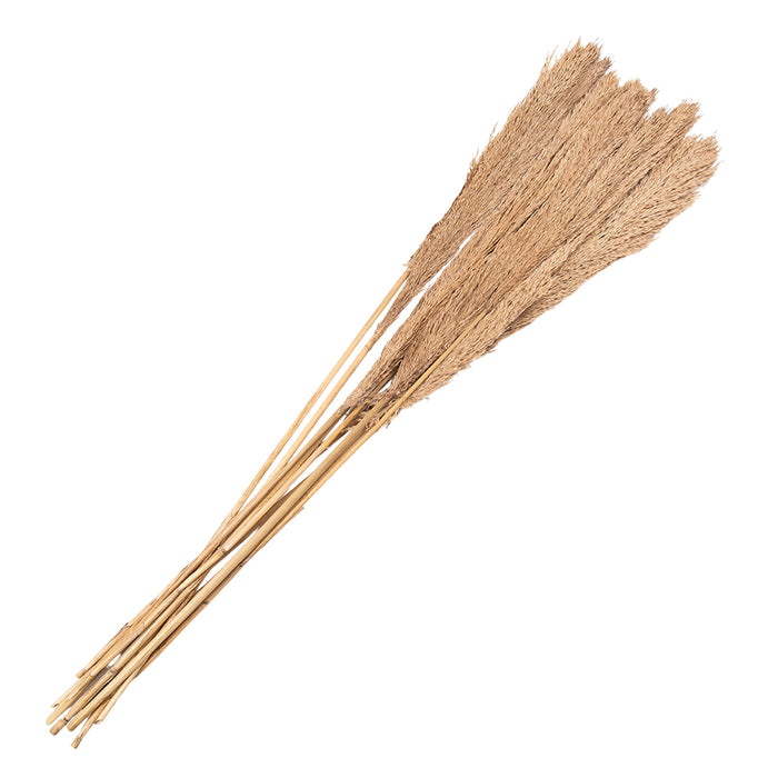 Clayre & Eef Droogbloemen  120 cm Beige Droogbloemen Droogboeket