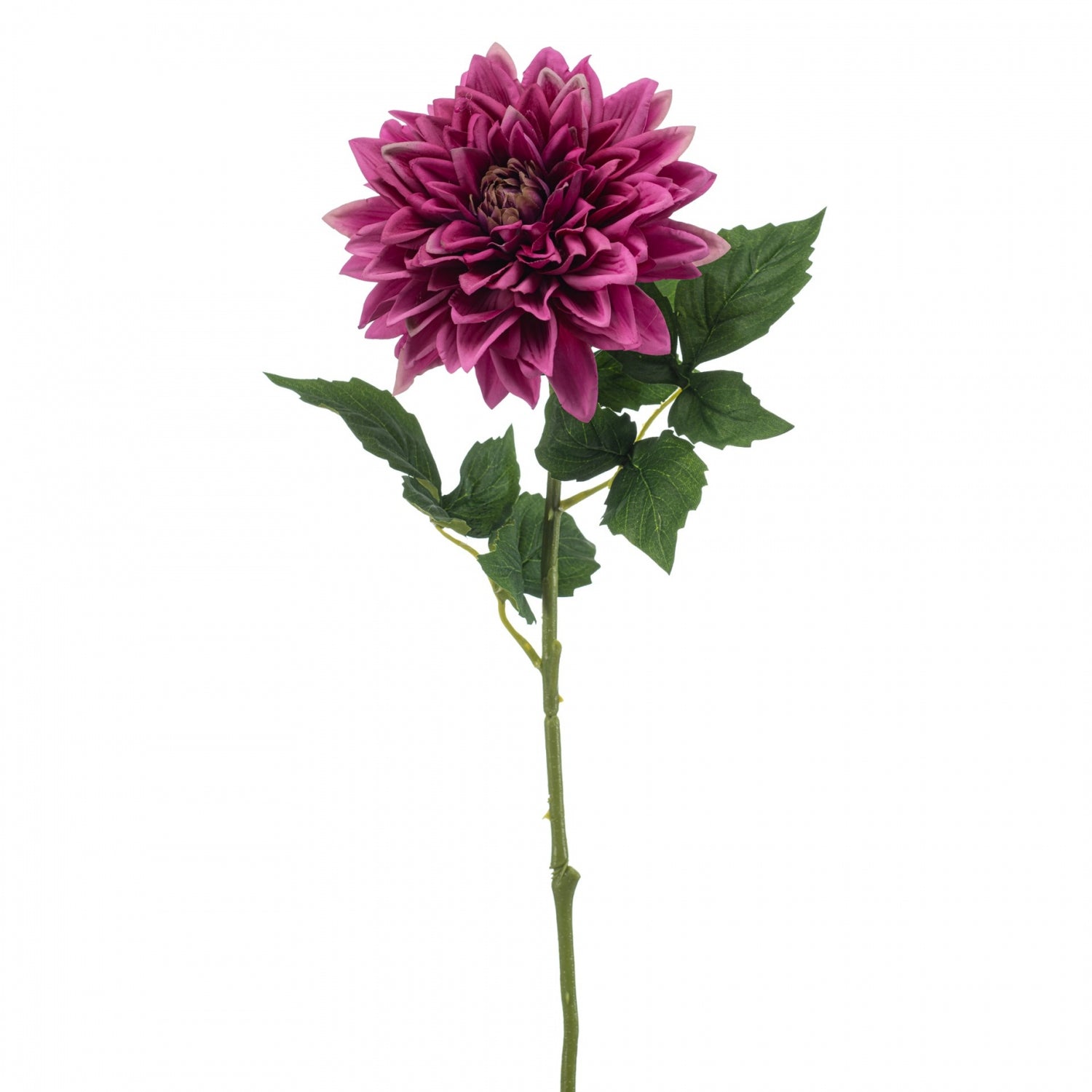 Fleurdirect Kunstbloem Dahlia - Paars - Polyester - 0x70x0cm (BxHxD)