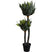 Kunstplanten agave 120cm Kare Design